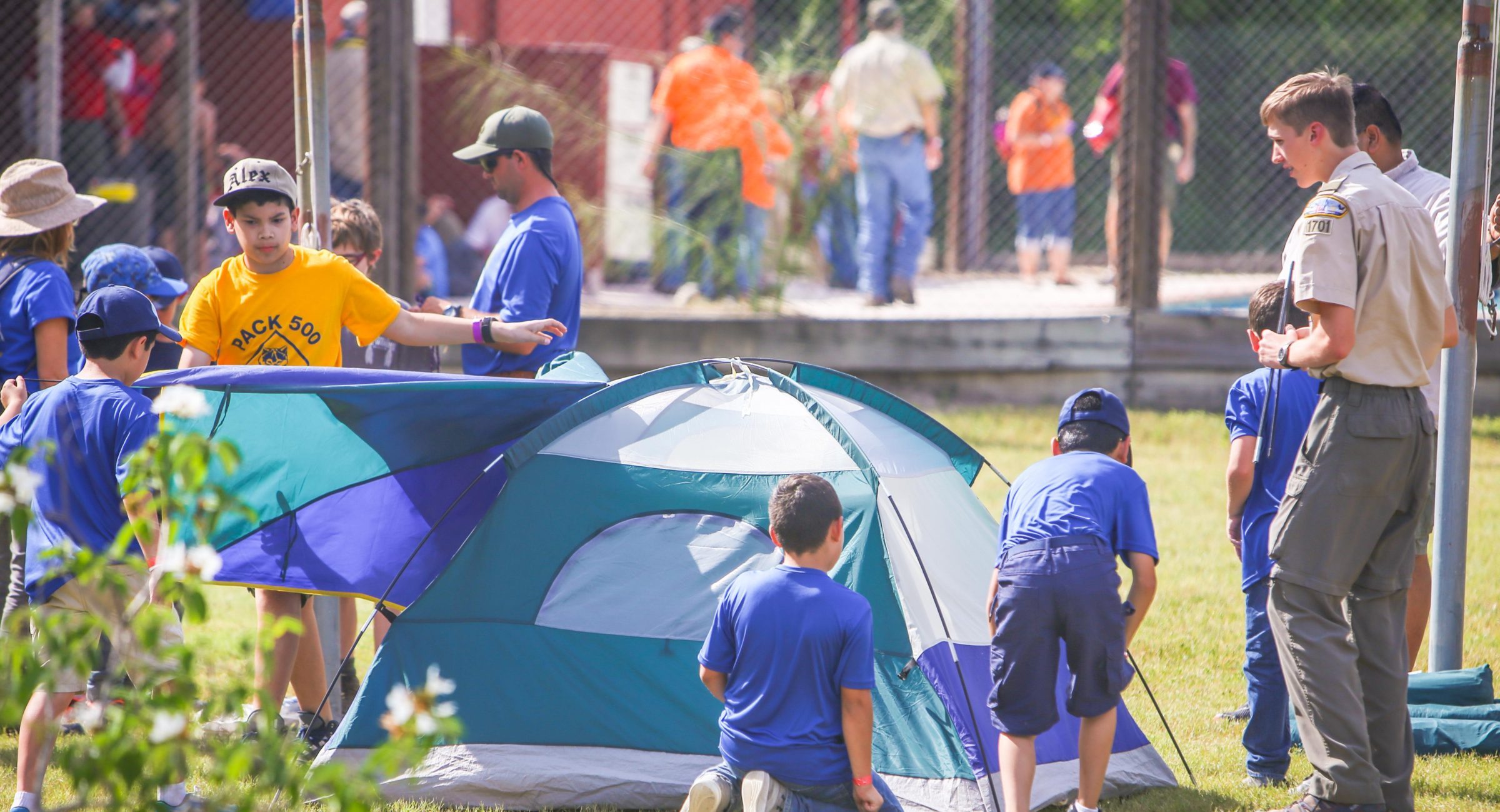 Cub Scouts pitching a tent with an adult leader at Camp Perry