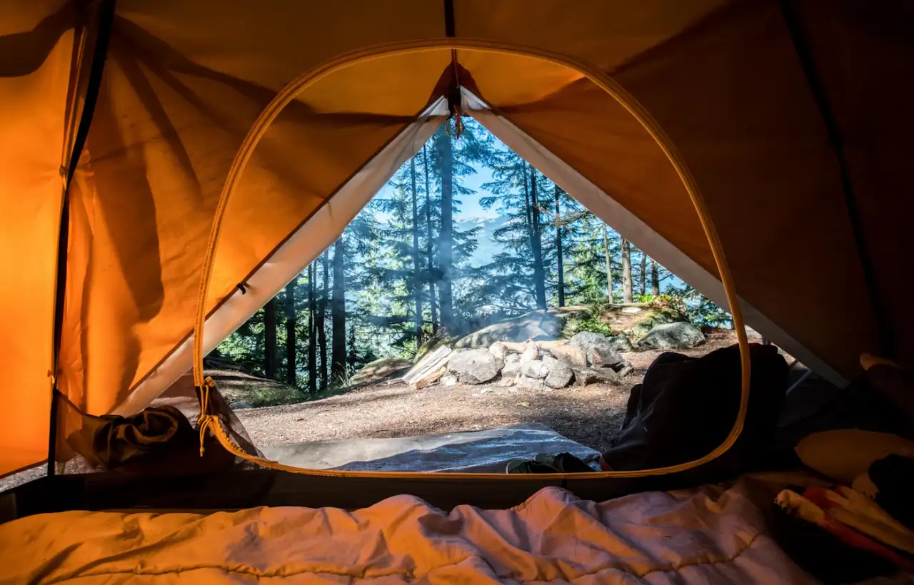 View from inside a tent looking out through the open door to green trees